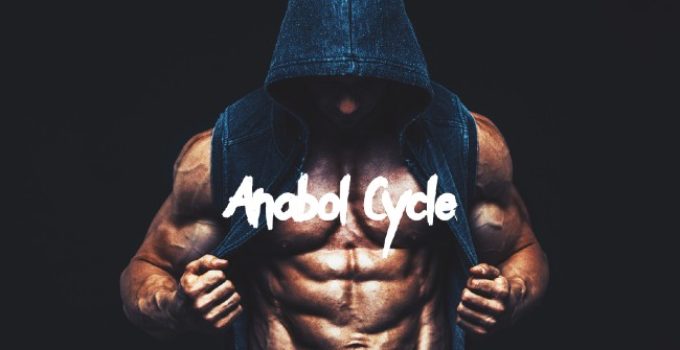 What Is Anabol Cycle