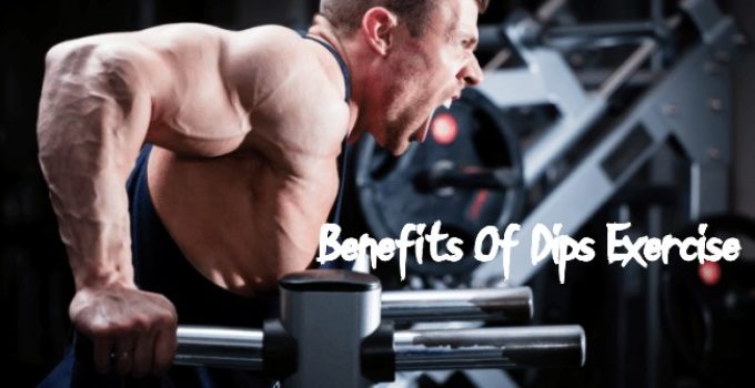 Benefits Of Dips Exercise