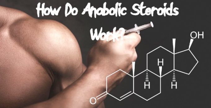 How Do Anabolic Steroids Work