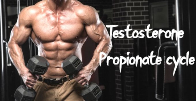 Testosterone Propionate cycle